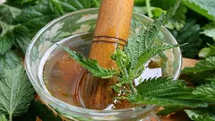 普通のイラクサを有益な肥料に変える方法：栄養豊富な浸出液のレシピ