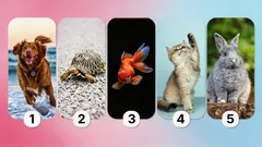 ペットの選び方が示すもの：性格を明らかにするテスト
