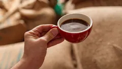 専門家は、朝一番にコーヒーを飲まないようにアドバイスしています。どれくらい待つべきでしょうか？