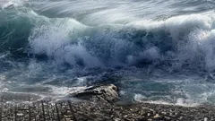 小惑星が海岸で巨大津波を引き起こした：それはどこで、いつ起きたのか？