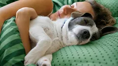 犬と一緒に眠ると、思いがけない変化が起きる――それは単に温かさだけのせいではない